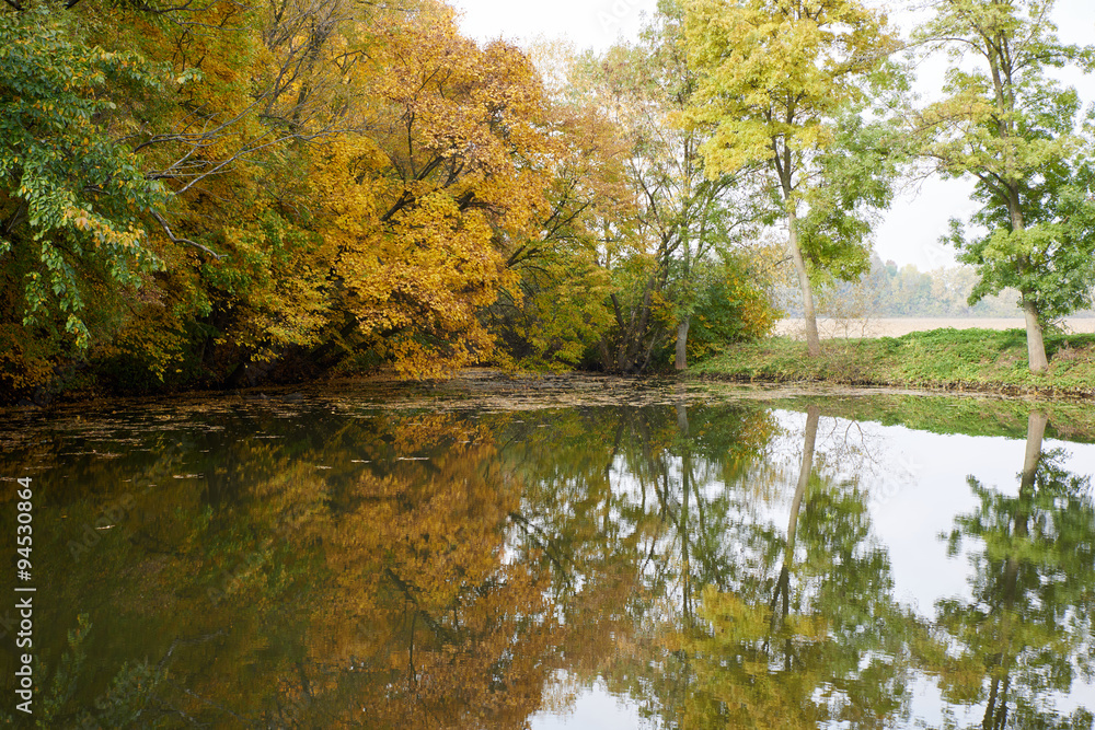 Obraz premium autumn