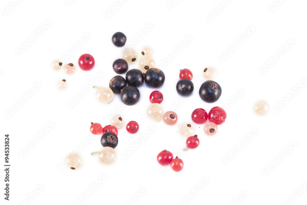 Currants isolated Currants isolated
