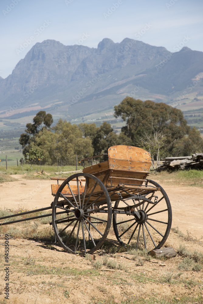 An old jaunting cart in a field in the western cape South Africa