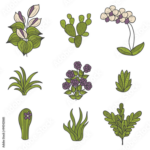 Houseplants cartoon icons