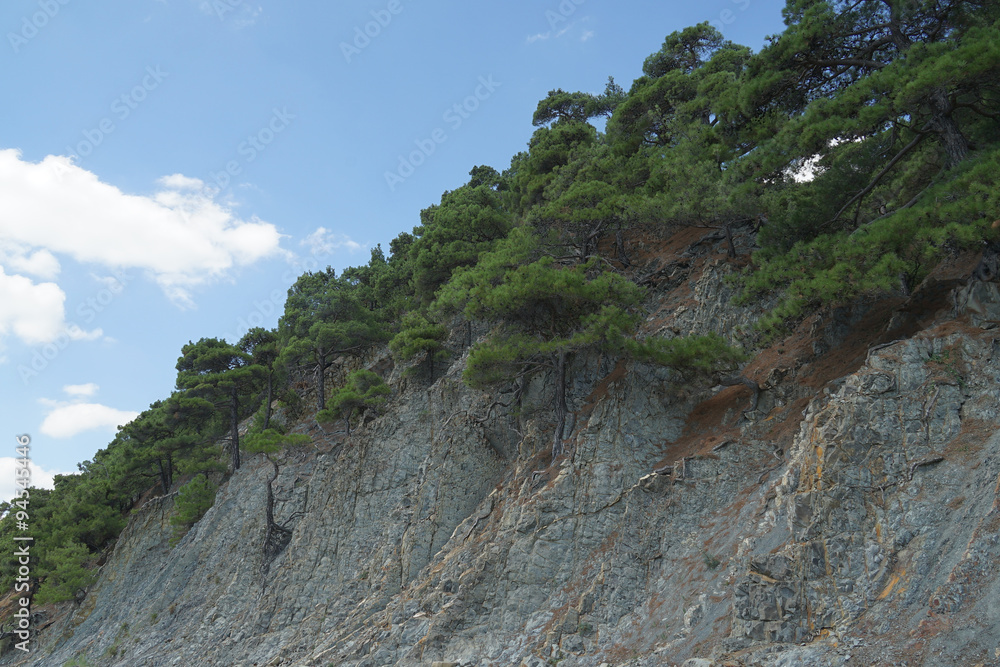 mountain mountain