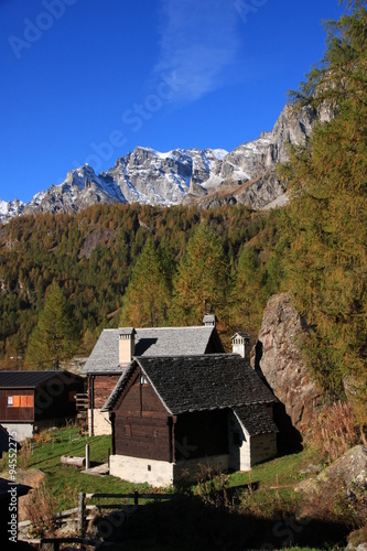 Autunno all'Alpe Devero, esplosione di colori nelle Alpi piemontesi