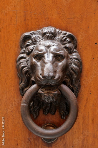 Door knocker in form of the lion muzzle