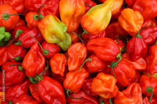 spicy red ripe habanero peppers photo