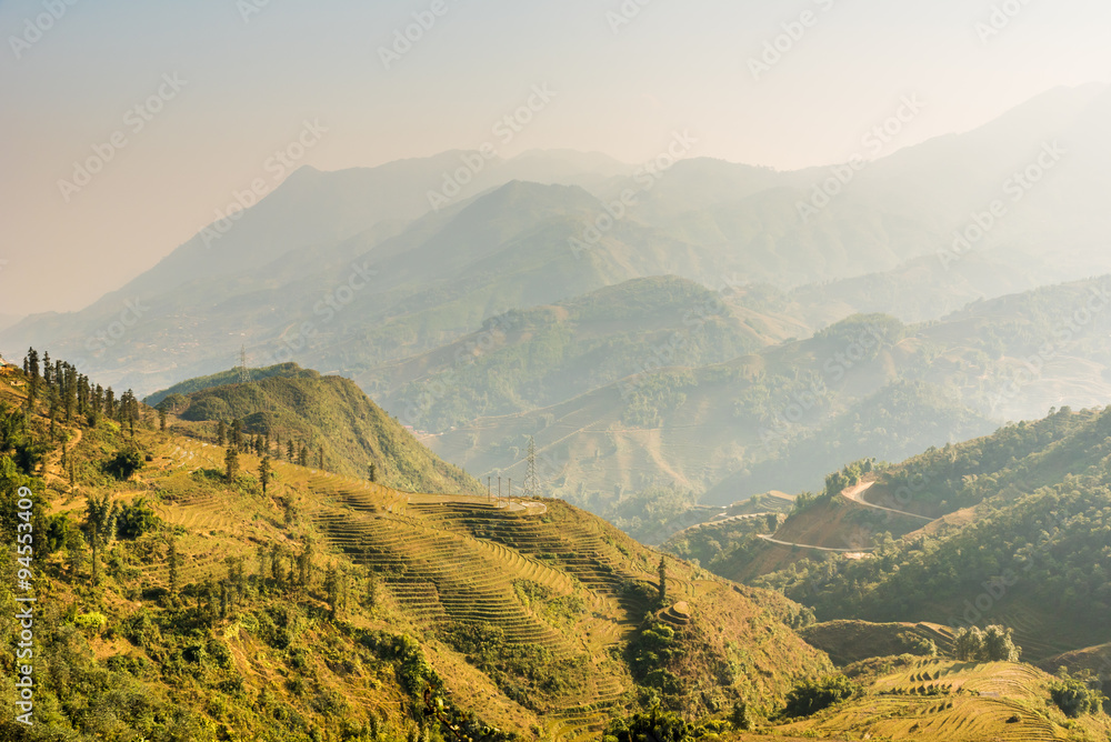 Vietnam, Sapa -  Ricefields