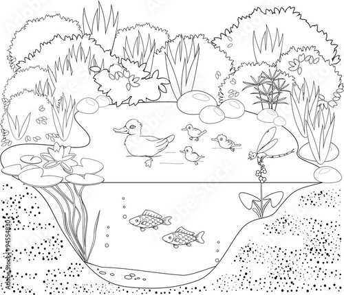 Coloring duck pond