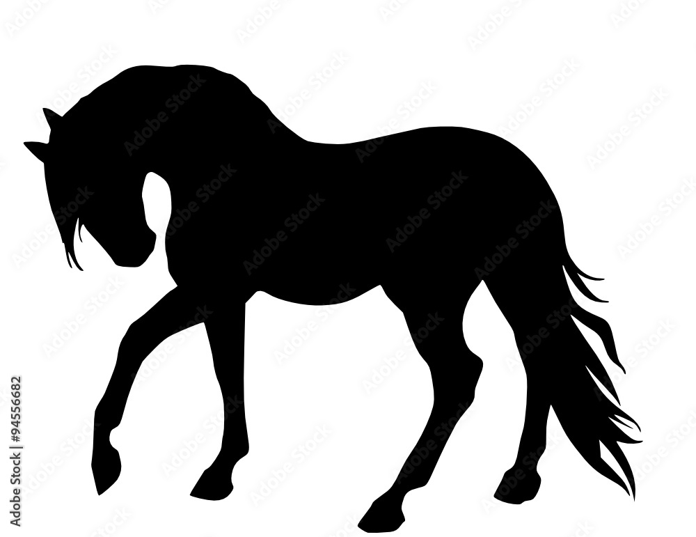 pferd silhouette Stock-Vektorgrafik | Adobe Stock