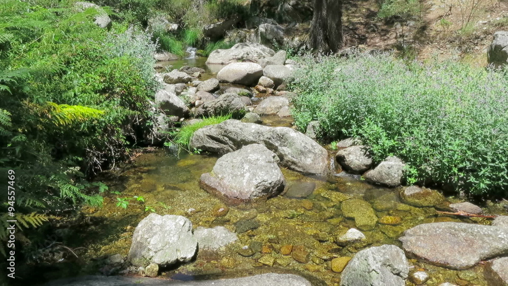 pond river clear water full of rocks and stones between plants trees and forest near Madrid in Spain Europe
pond river clear water full of rocks and stones between plants trees and forest near Madrid in Spain Europe