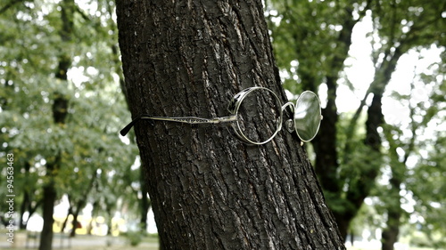 очки в лесу