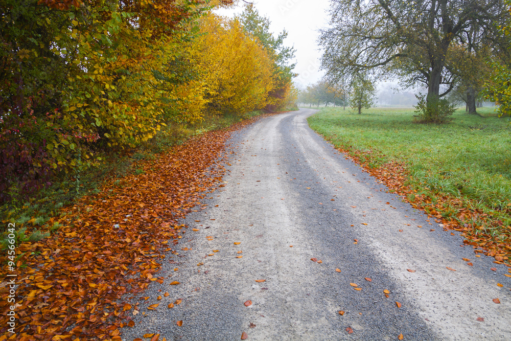 Road at country in autumn Road at country in autumn