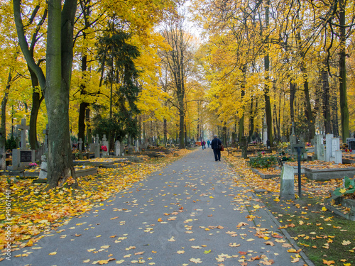 Obraz w ramie cemetery