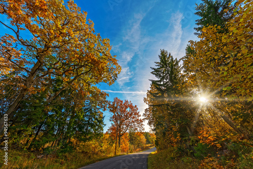 Autumn road during a sunny ...