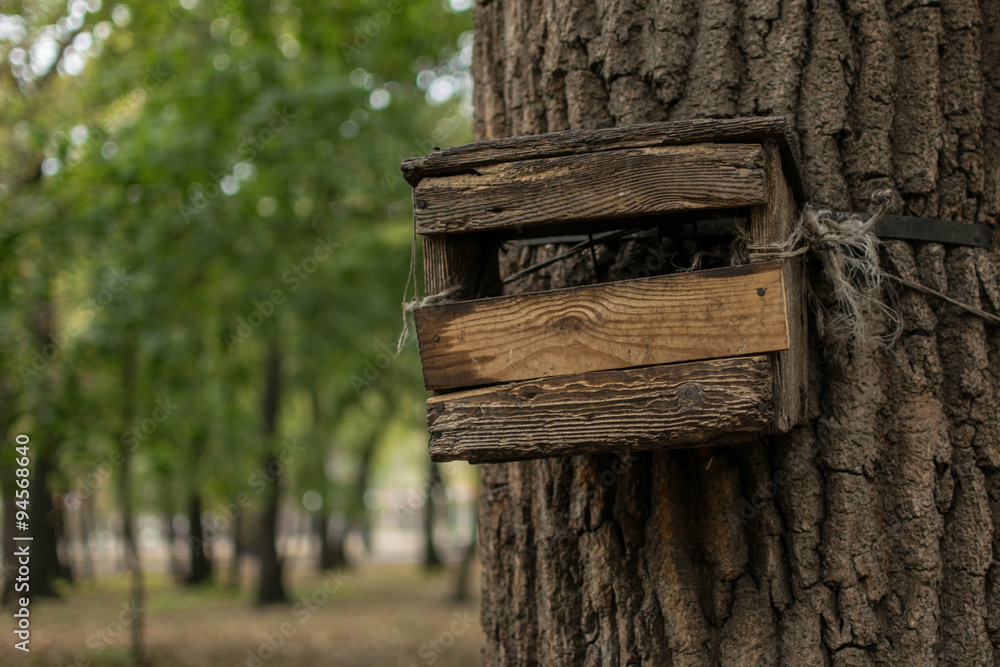 Wooden feeding trough for animals and birds on the tree Wooden feeding trough for animals and birds on the tree