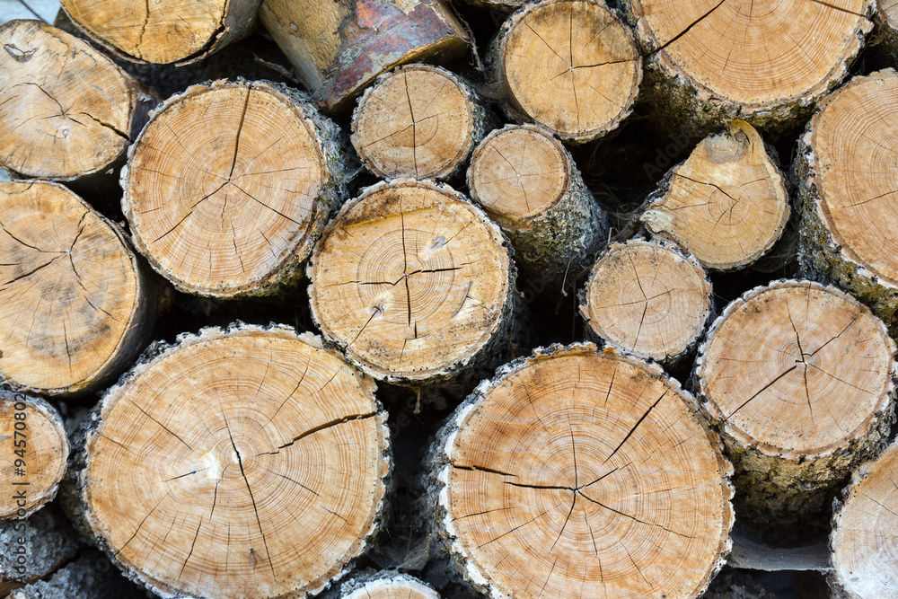  firewood logs in a pile