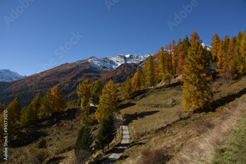 montagne autunno panorama autunnale colori autunno
