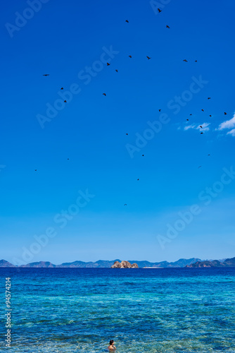 Palawan Philippines seascape  photo