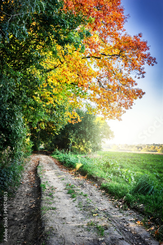 Autumn landscape with country road