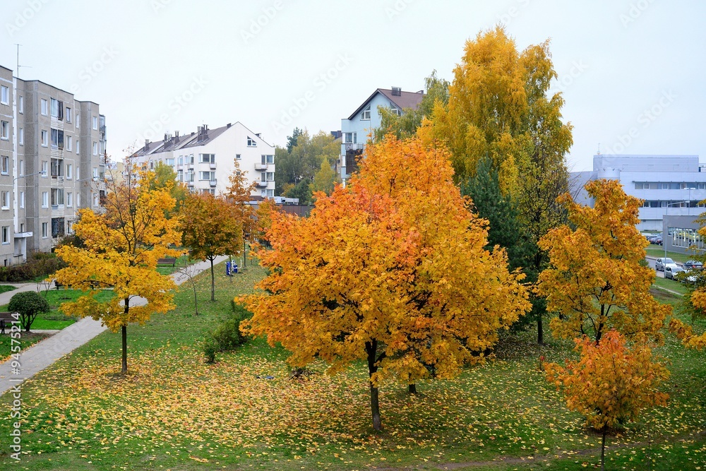Autumn in Vilnius city Pasilaiciai district on October 22, 2015