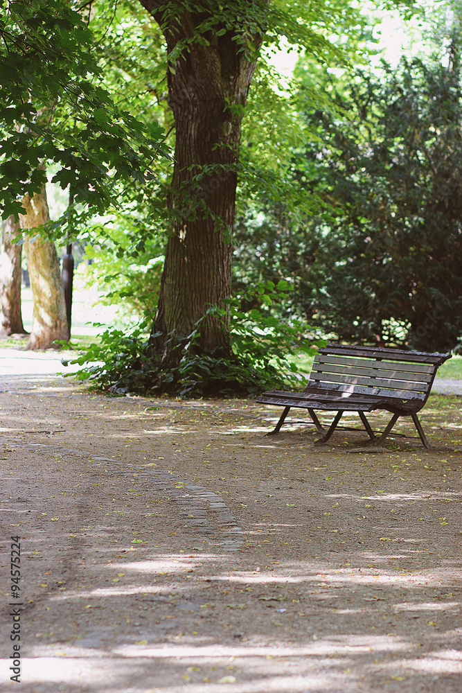 romantic bench in peaceful park in summer