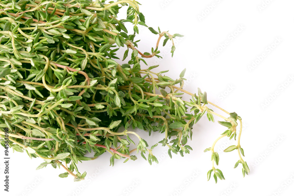 thyme isolated on white background chabrets thyme isolated on white background chabrets