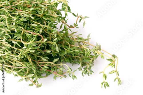 thyme isolated on white background chabrets