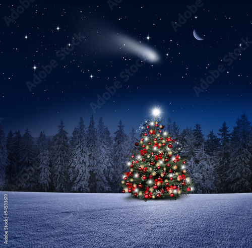 Beleuchteter Christbaum im Winterwald