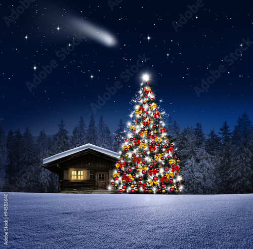 Christbaum und Schihütte im wWnterwald
