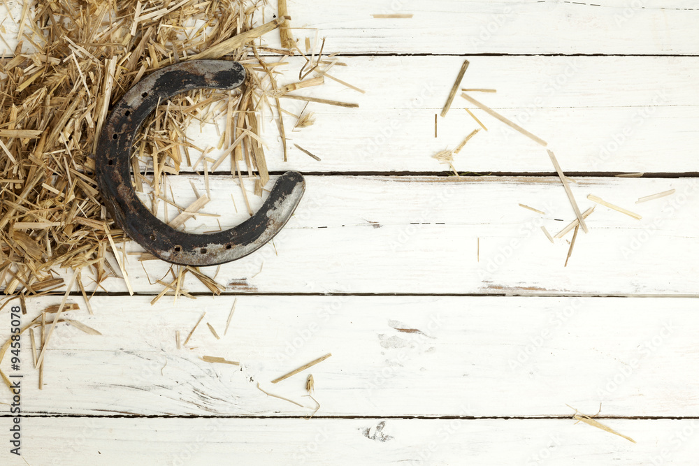 Horseshoe and hay on rustic background