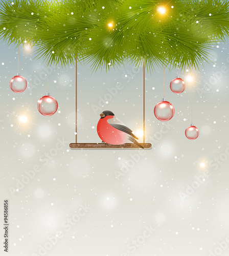 Bullfinch and green pine branch