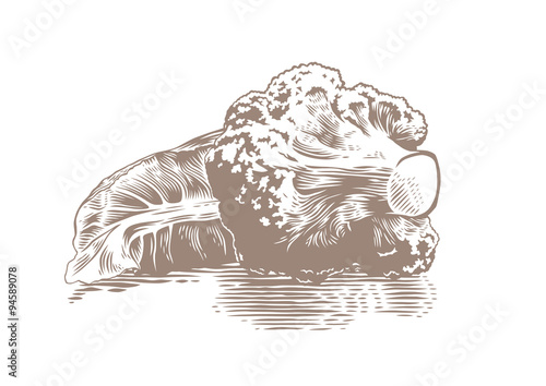 Cauliflower
