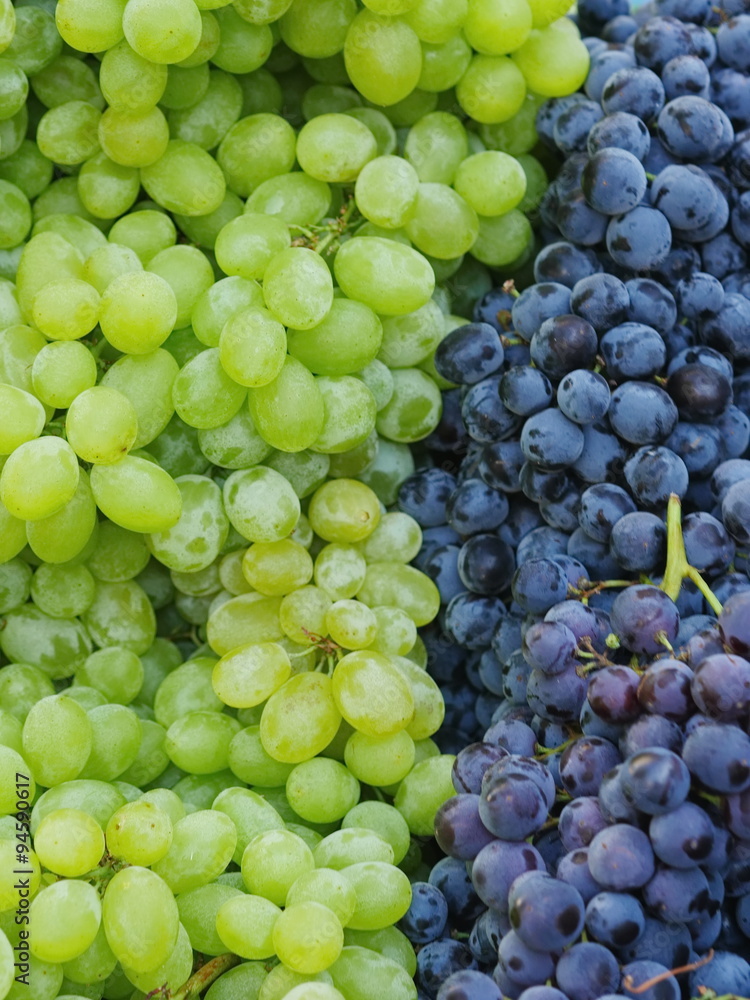 market red wine grapes market red wine grapes