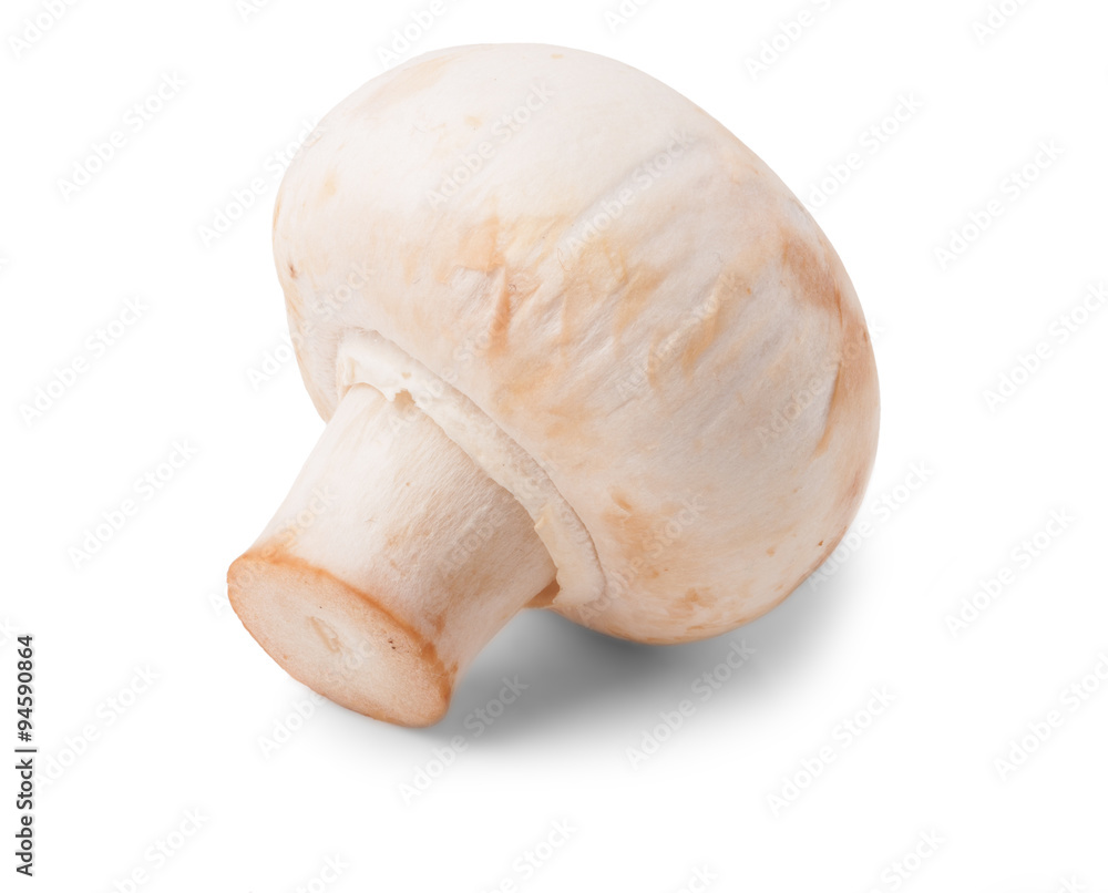 Mushrooms isolated on white Mushrooms isolated on white