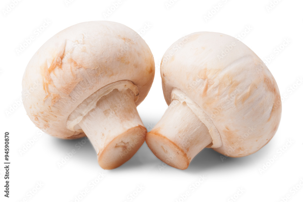 Mushrooms isolated on white Mushrooms isolated on white