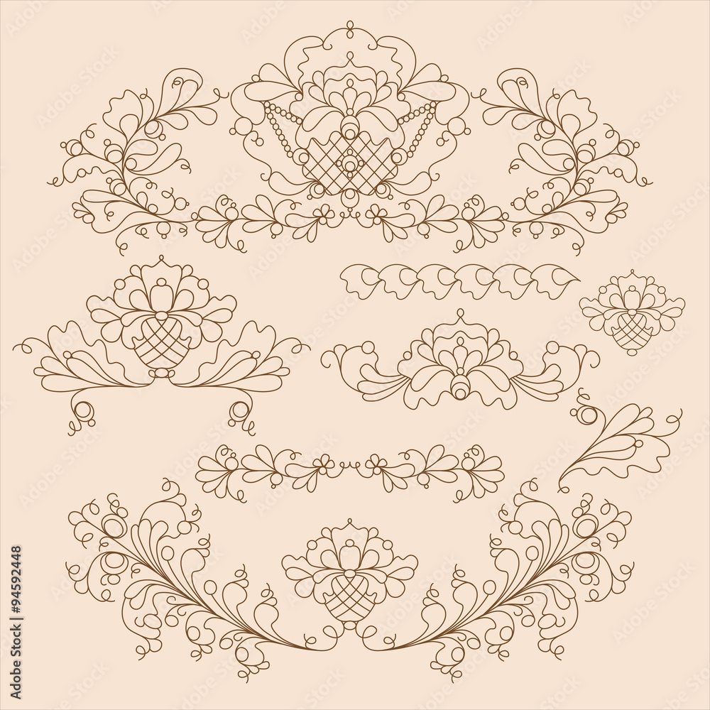 Hand drawn floral elements isolated on color background