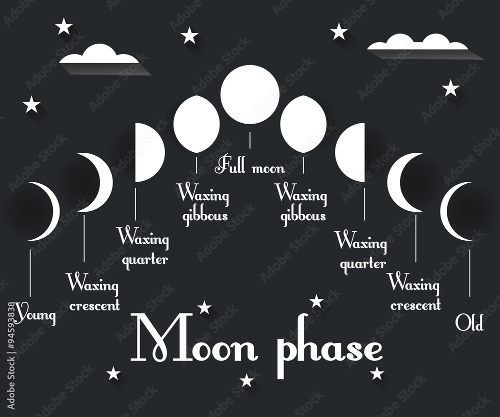 Naklejka premium The phases of the moon. Vector illustration.