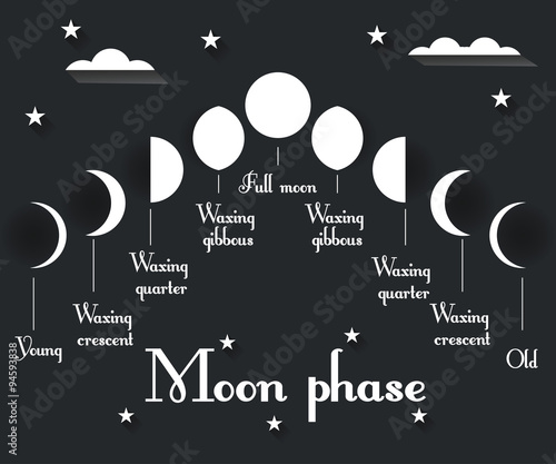 The phases of the moon. Vector illustration.