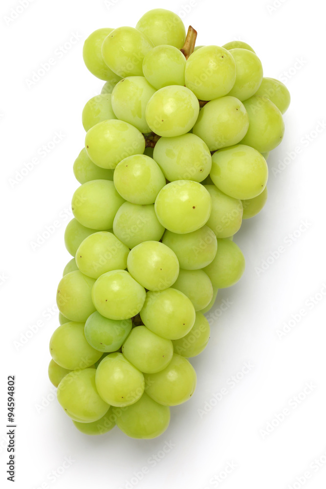 shine muscat, japanese new variety grape isolated on white background
shine muscat, japanese new variety grape isolated on white background
