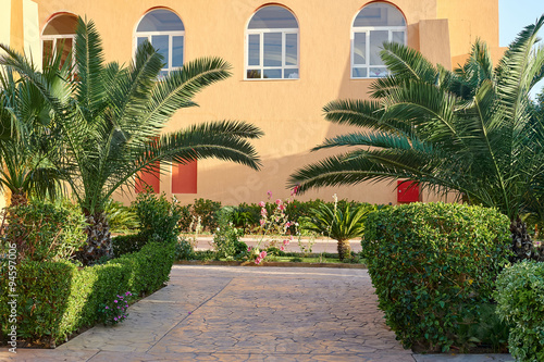 beautiful area with palm trees on the background of the house © timonko