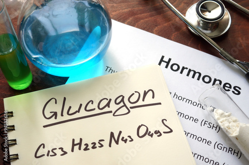 Hormone glucagon written on notebook. Test tubes and hormones list. photo