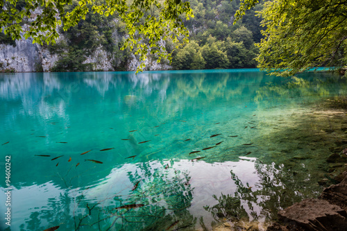 Fototapeta Naklejka Na Ścianę i Meble -  Plitvice lakes, Croatia
