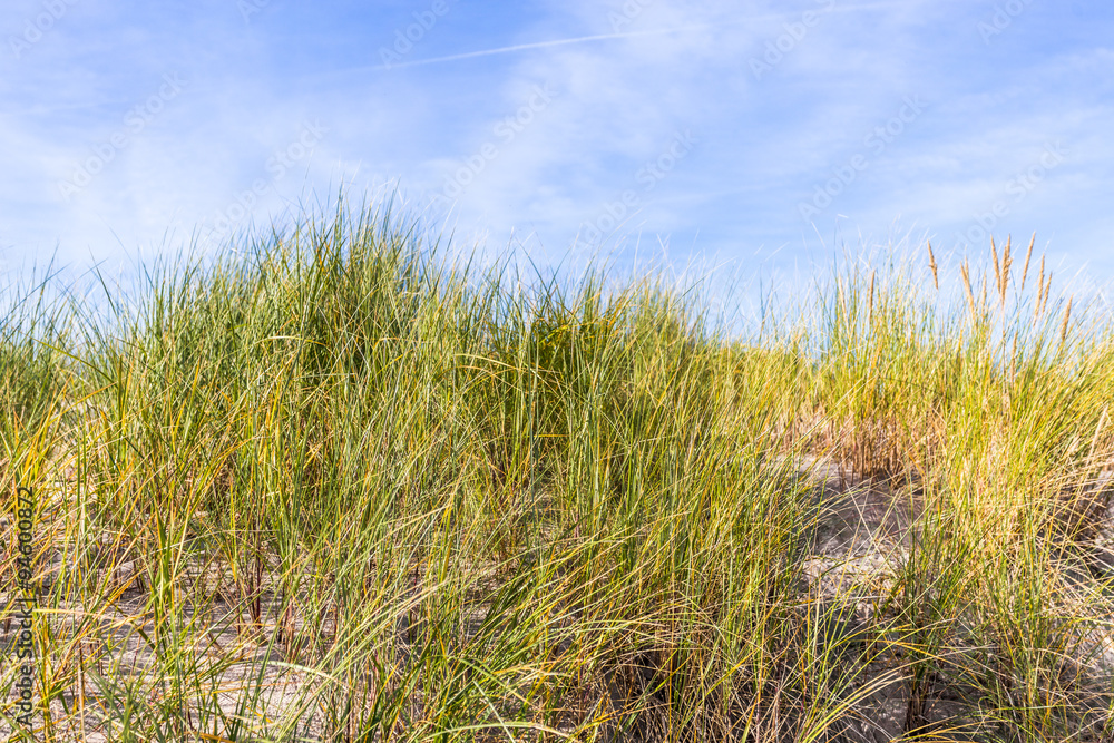 Fototapeta premium warnemünde ostsee