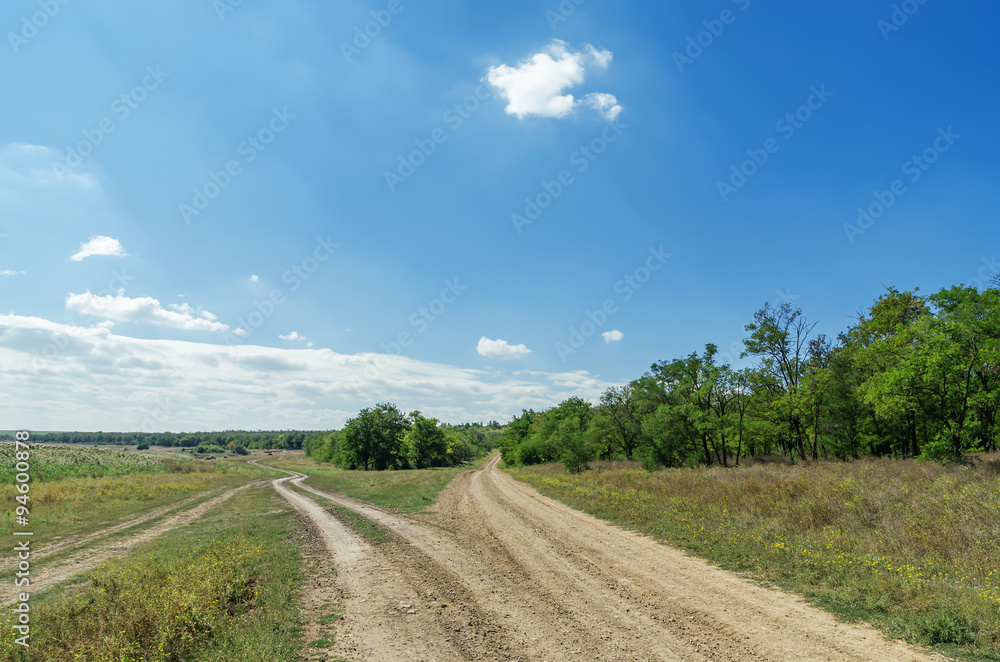 two dirty roads in green landscape