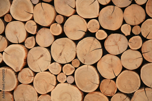 Background of wooden cut logs