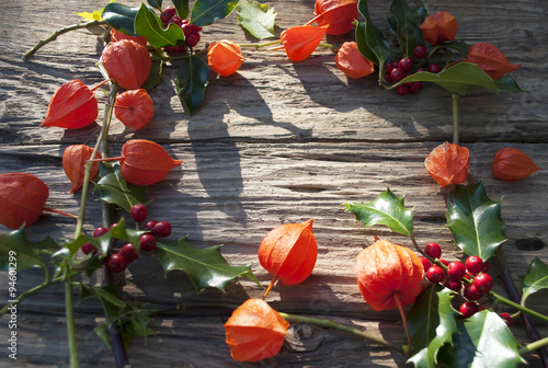 Stechpalme, Ilex Zweige mit roten Beeren und Lampionblumen auf altem Treibholz / Holz Brett photo