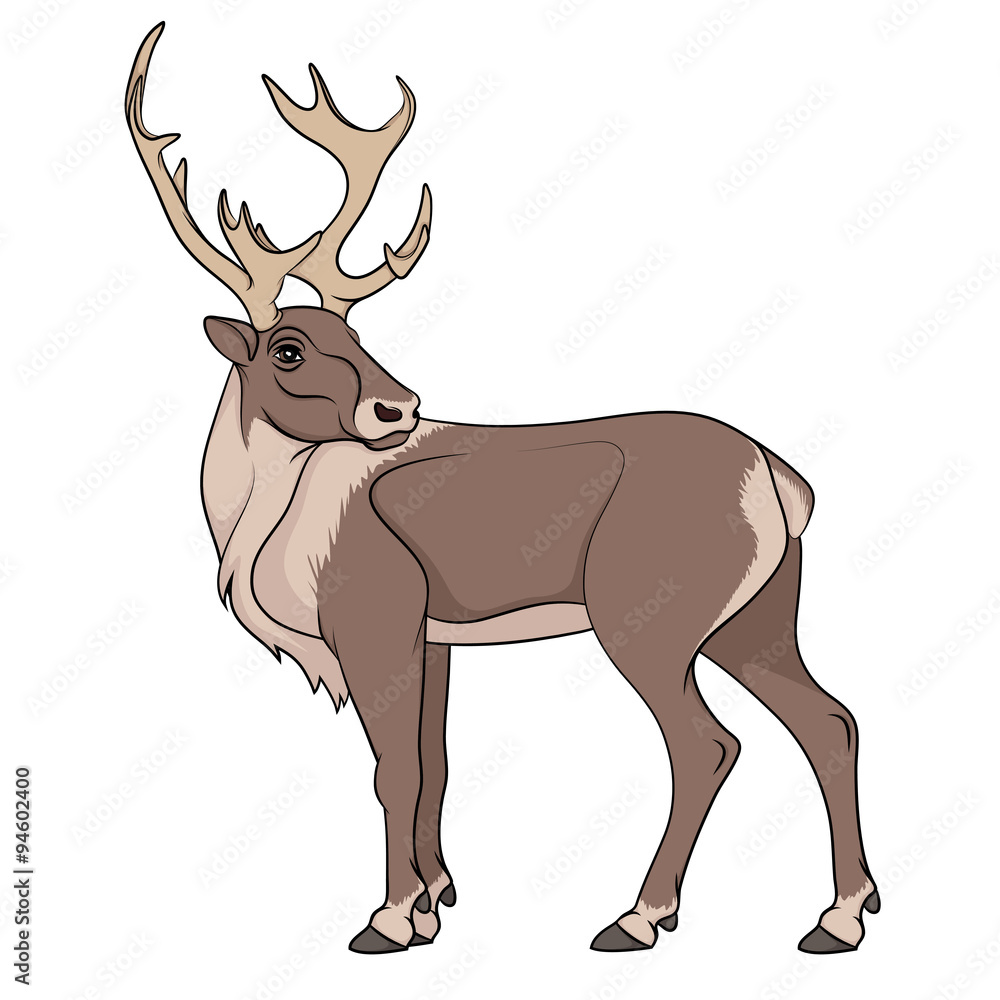 Obraz premium Deer illustration. Isolated object on white background.