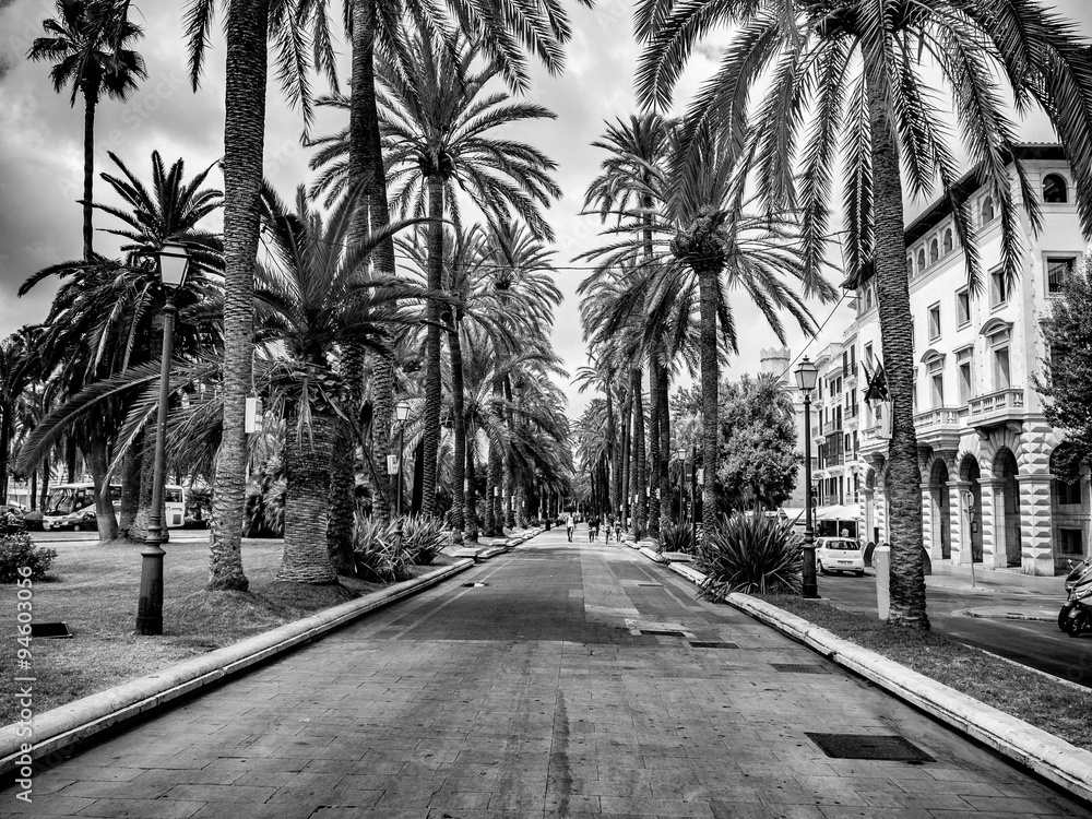 Naklejka premium Promenade am Parc de la Mar in Palma