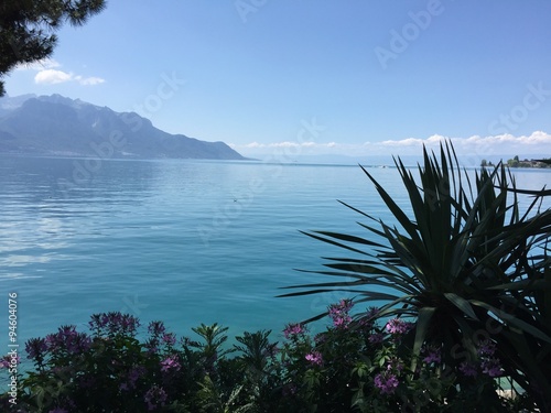 Genfer See (Lac Lehman) Montreux Schweiz photo