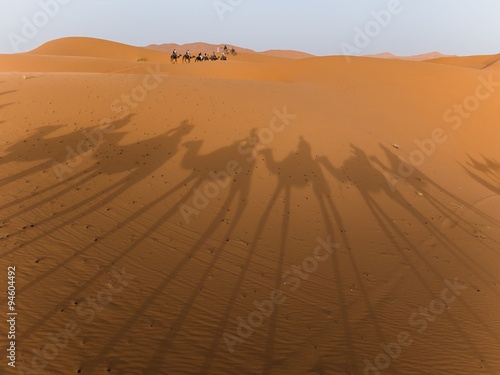 shadows of camels in the sahara