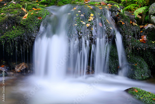 Mountain creek in the national park Sumava-Czech Republic