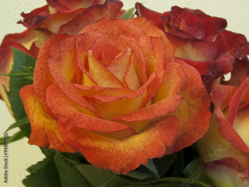 The beautiful rose in the bouquet